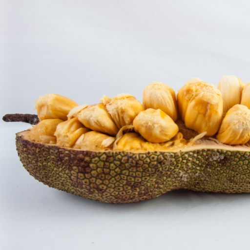 Jackfruit (Jacquier)